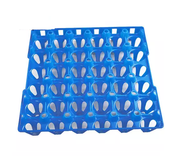 Egg Tray